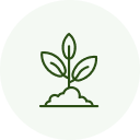 Simple plant icon within a circular frame.
