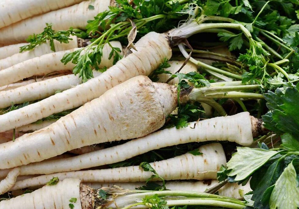Parsnip