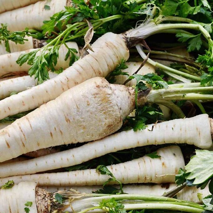 Parsnip