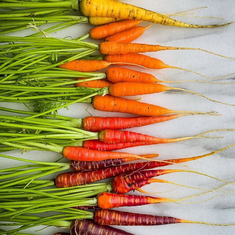 Carrots