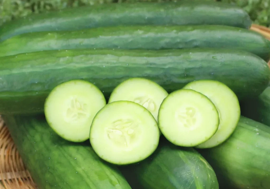 Cucumber