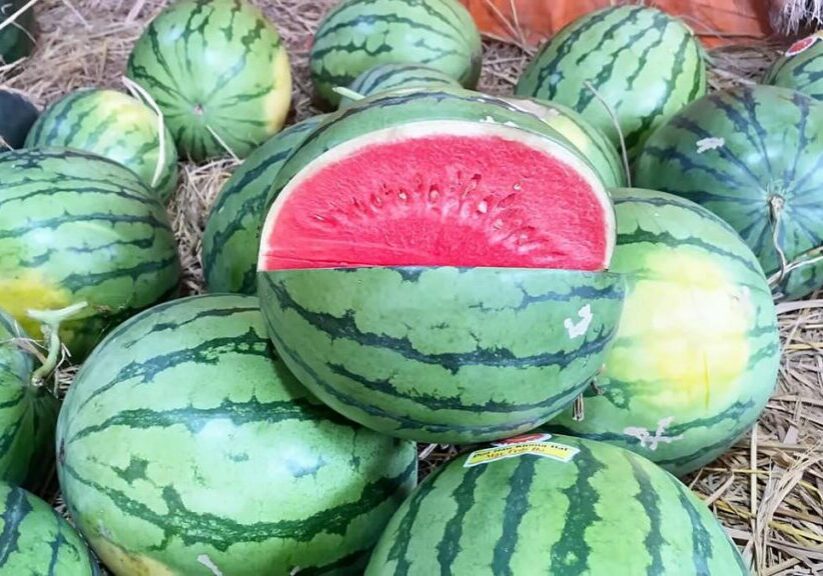 watermelon